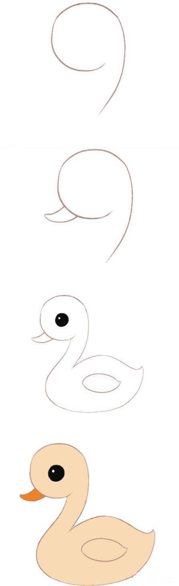 Simple and beautiful swan sketch