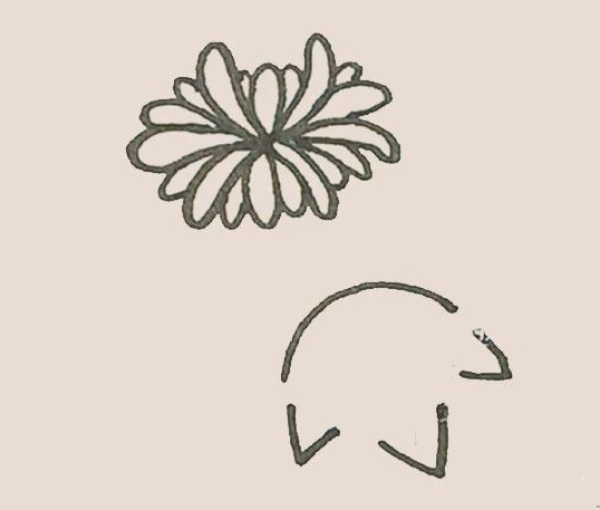 Simple drawing of chrysanthemum