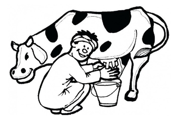 Milkmaid milking cows