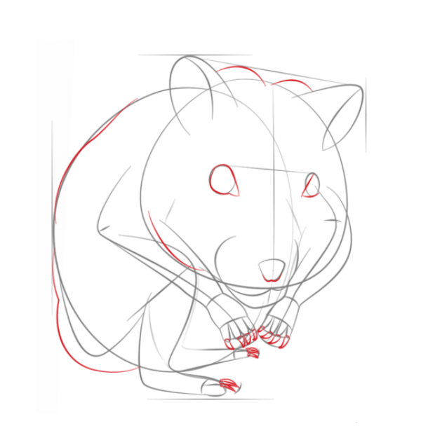 How to draw a hamster in simple strokes