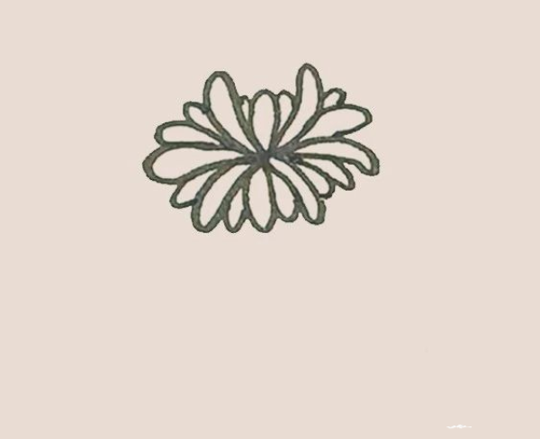 Simple drawing of chrysanthemum