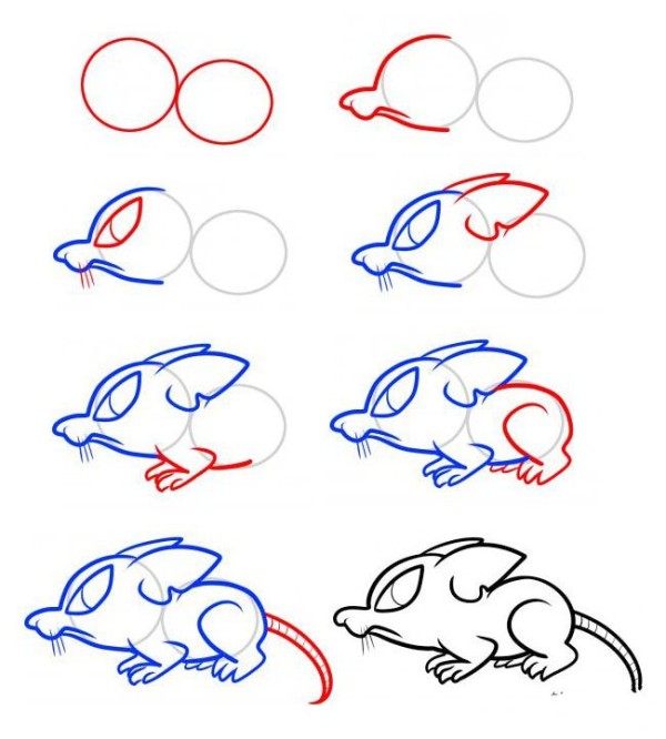 Hamster simple drawing tutorial