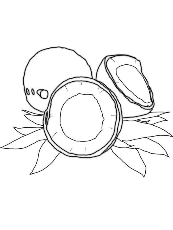 How to draw coconut