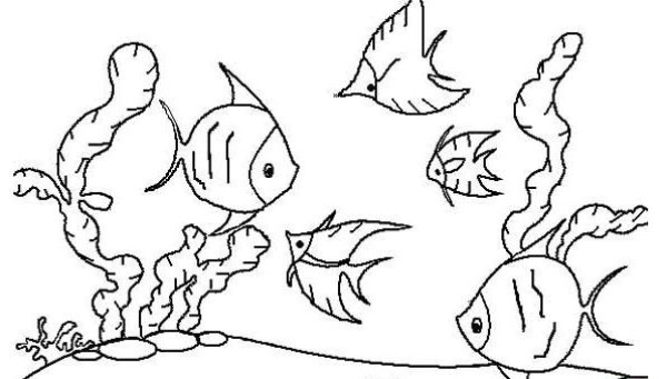 Simple drawing pictures of marine animals