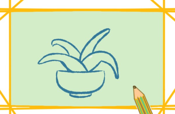 How to draw an aloe vera potted plant