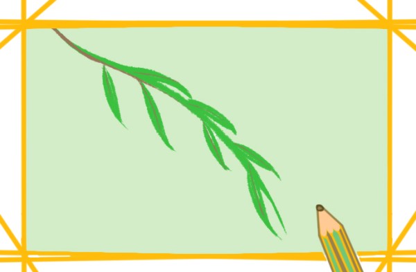 Green willow branch simple drawing