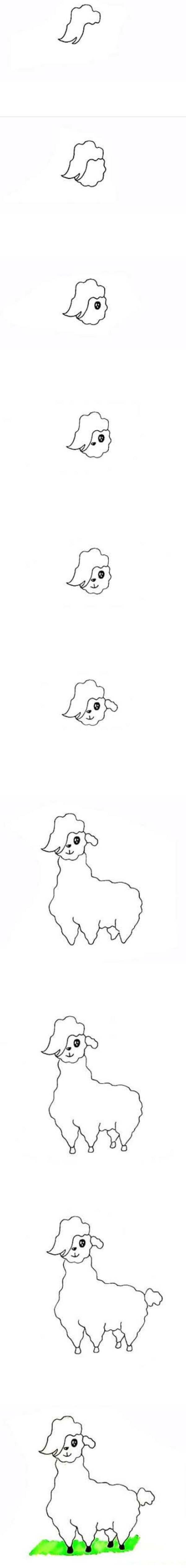 How to draw a cute and cute cartoon alpaca