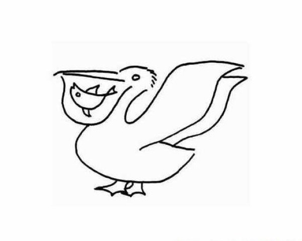 Childrens simple drawing of animals Pelican