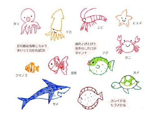 Small fresh marine life handbook simple drawing material