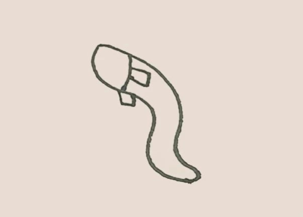 Simple drawing of eel