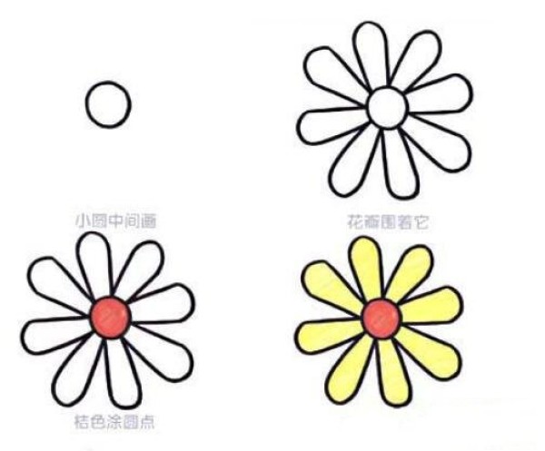 Simple drawing of chrysanthemums blooming in autumn