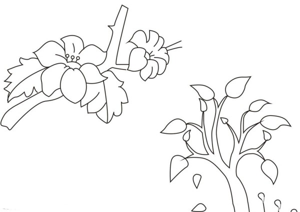 Simple drawing of peach blossoms and saplings