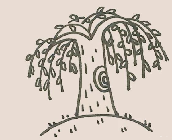 Simple drawing of willow tree