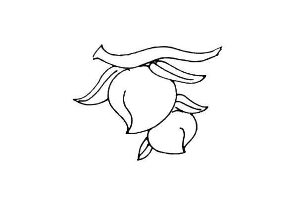 Simple and beautiful peach sketch