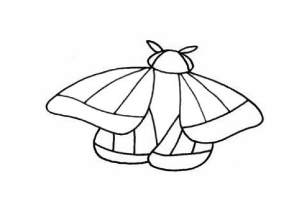 How to draw a moth