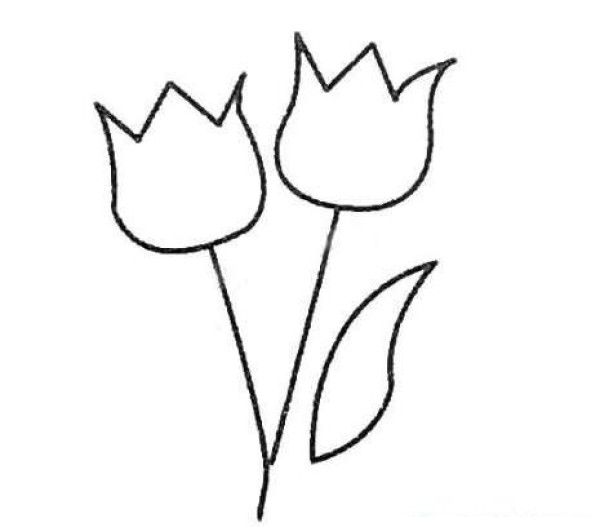 Cartoon tulip simple strokes