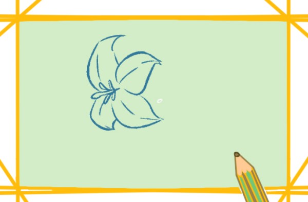 How to draw white lilies