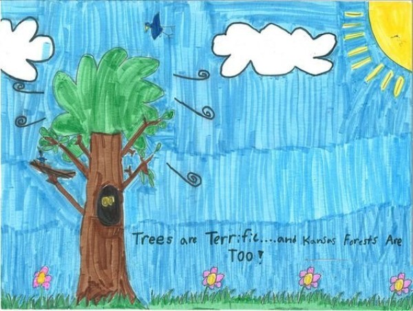 A complete collection of pictures of primary school students' Arbor Day paintings of Big Tree Friends