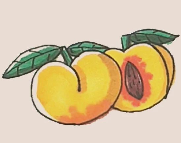 Simple drawing of yellow peach