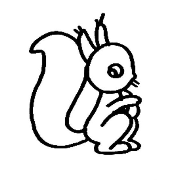 How to draw a cute squirrel