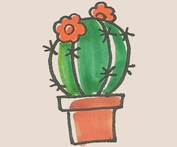 Simple drawing of cactus flower