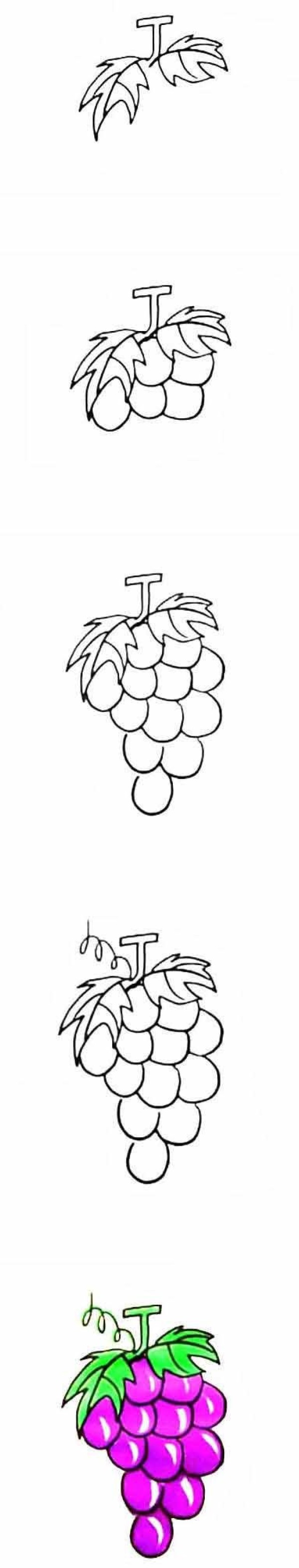 How to draw purple grapes