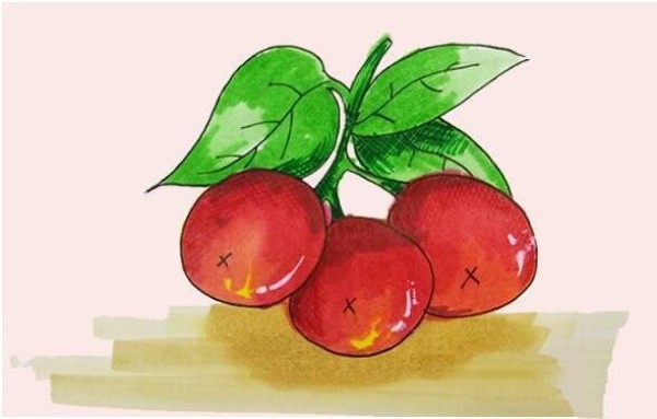 How to draw sour hawthorn