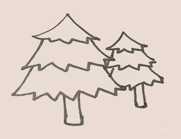 Simple drawing of pine tree