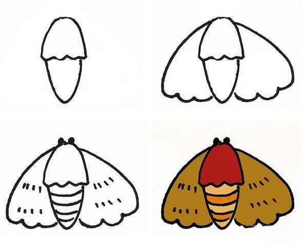 How to draw a colorful cartoon moth