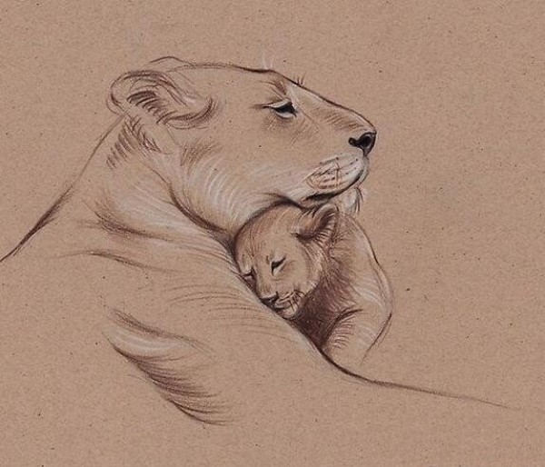 A collection of creative childrens drawings for Mothers Day of lion mother and little lion