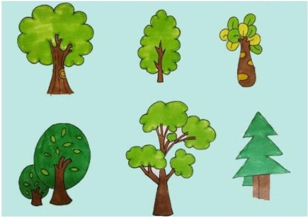 Simple strokes of six kinds of big trees