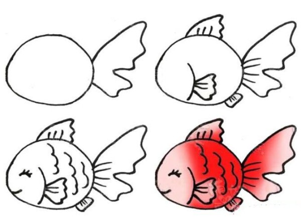 How to draw a red goldfish