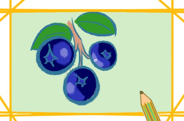 Simple drawing of sweet and sour blueberries