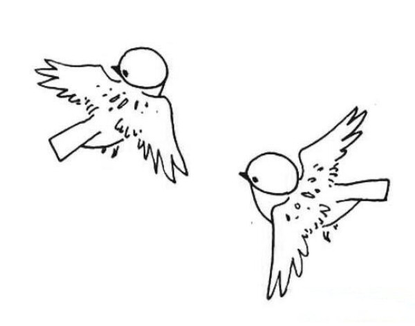 How to draw two flying birds