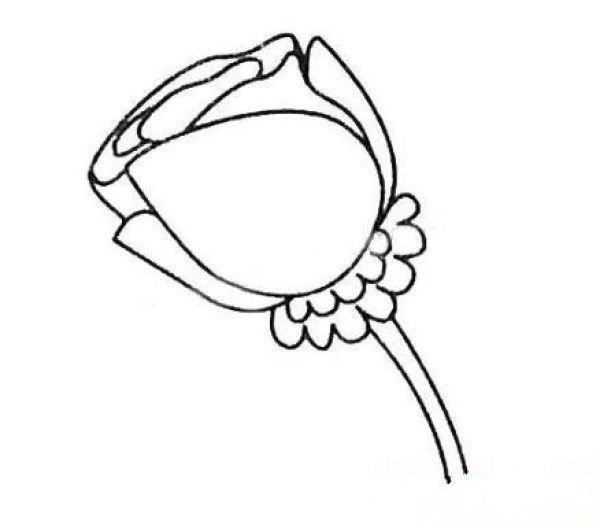 Simple rose flower drawing