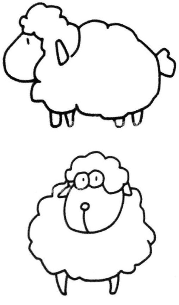 Cute little sheep sketch