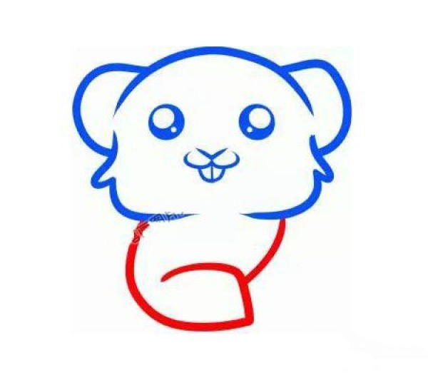 Draw a cute hamster