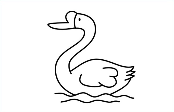 Simple swan drawing pictures include step diagrams