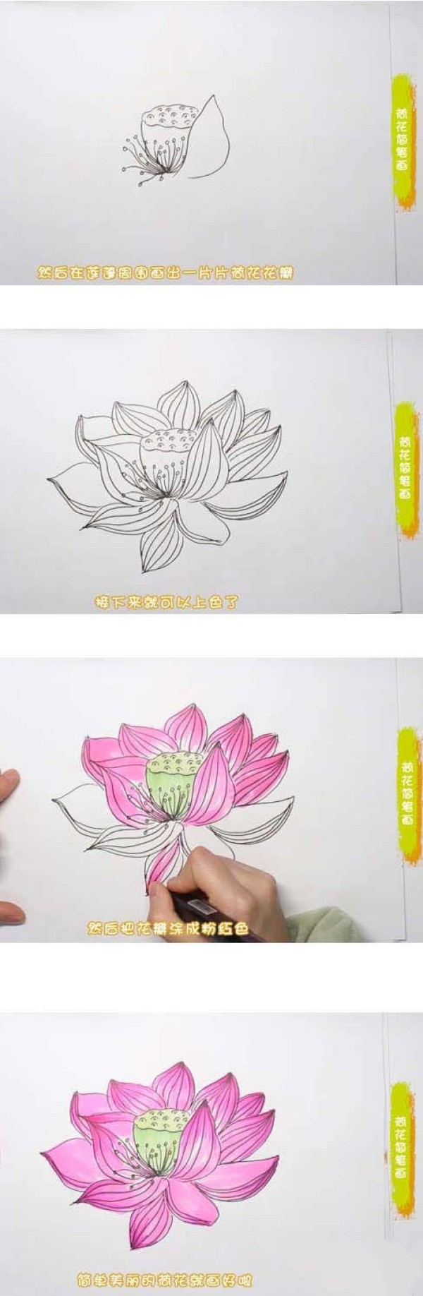 How to draw lotus