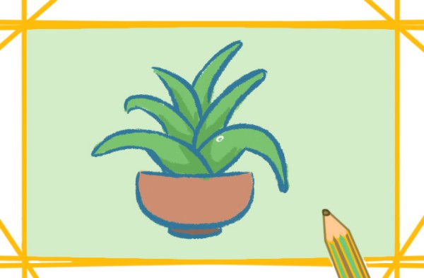 How to draw an aloe vera potted plant