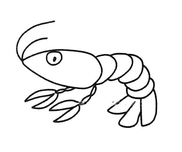 A set of simple drawing pictures of cartoon shrimps