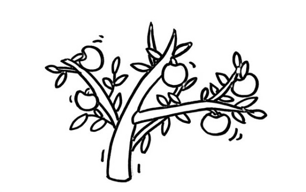 How to draw a colorful apple tree