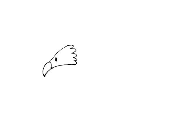 Children learn to draw an eagle