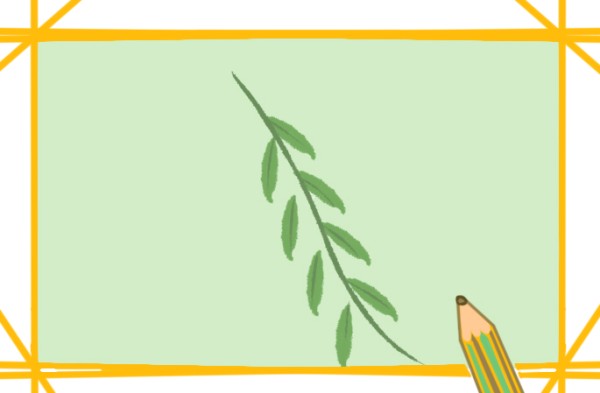 Draw a willow branch step by step with simple strokes