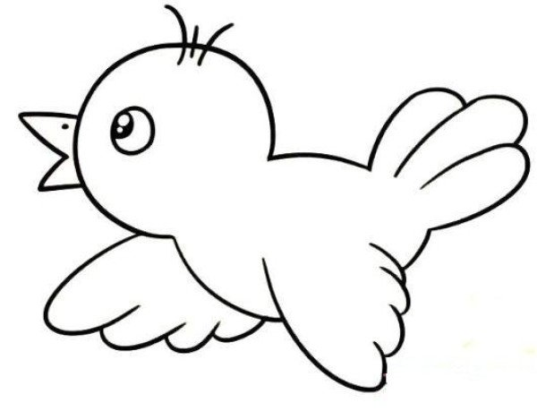 How to draw a flying bird