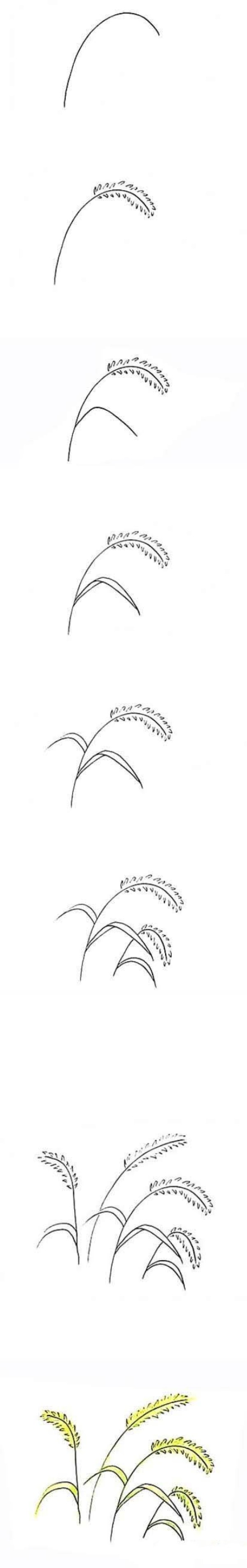 How to draw colored foxtail grass