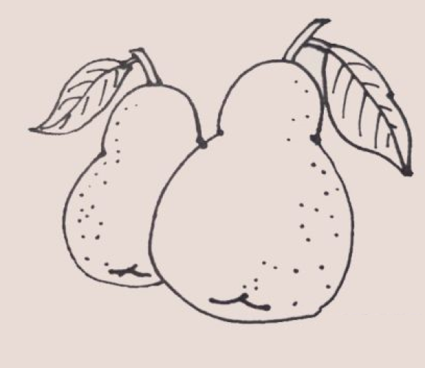 Simple drawing of pear