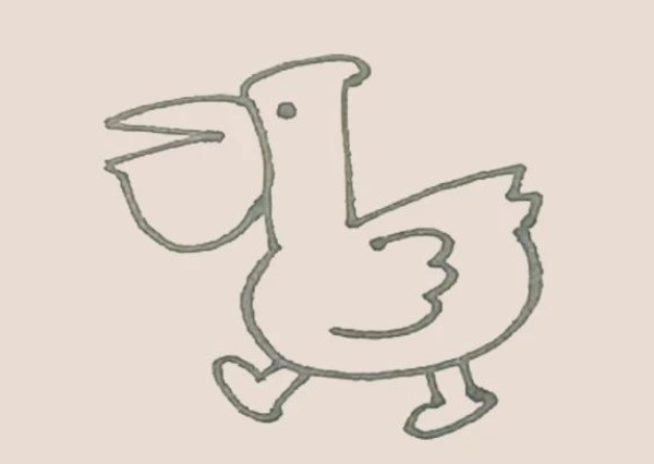 Simple drawing of pelican