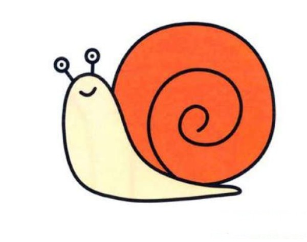 How to draw a cute little snail