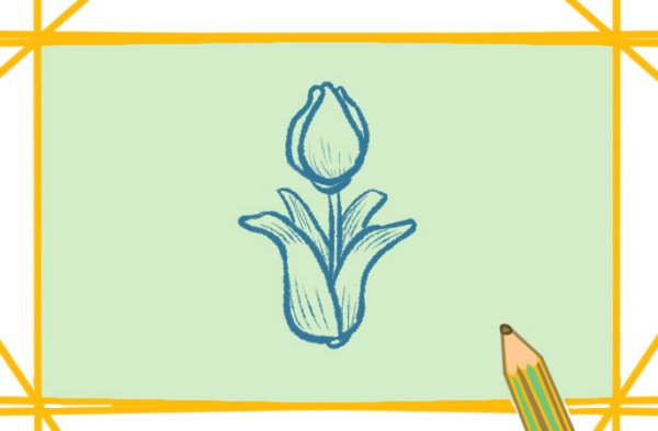 How to draw a tulip